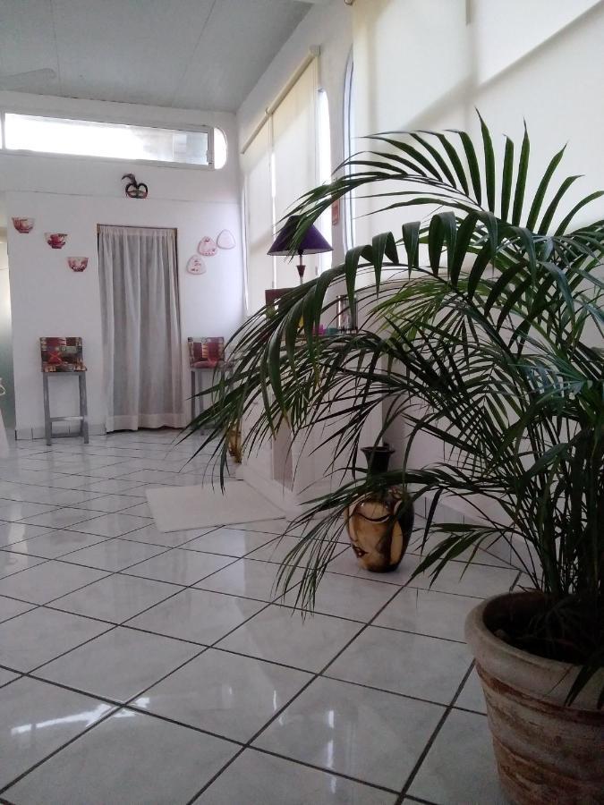Boutique Basic Hotel Puerto Vallarta Eksteriør billede