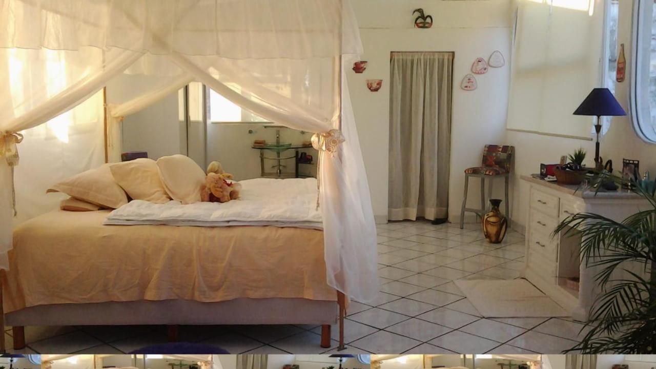 Boutique Basic Hotel Puerto Vallarta Eksteriør billede