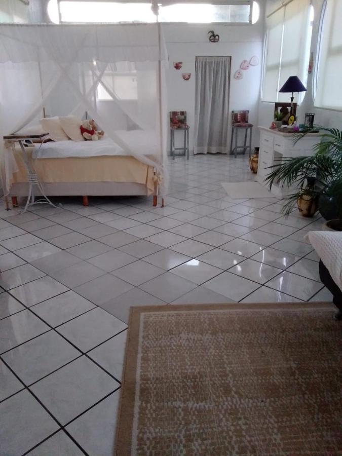 Boutique Basic Hotel Puerto Vallarta Eksteriør billede